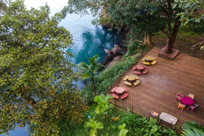 Aerial view of the riverside terrace with picnic tables, trees and the blue river below
