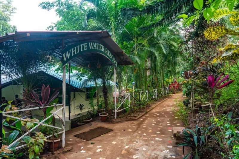 Entrance arch of White Water Resort with a garden path through palms and plants