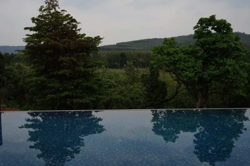 Infinity pool reflecting trees, with forested hills beyond