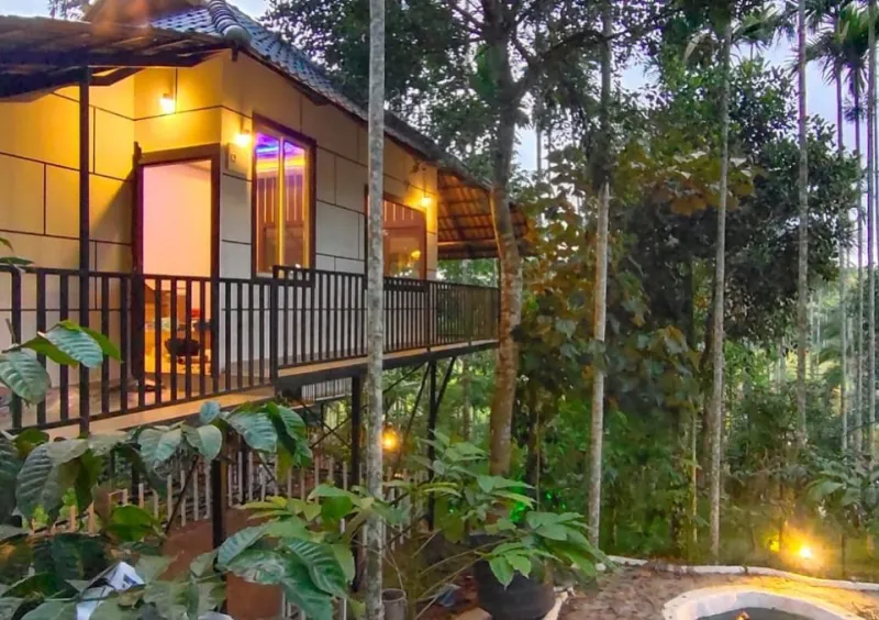 Raised cottage with a lit balcony among areca palms and coffee plants
