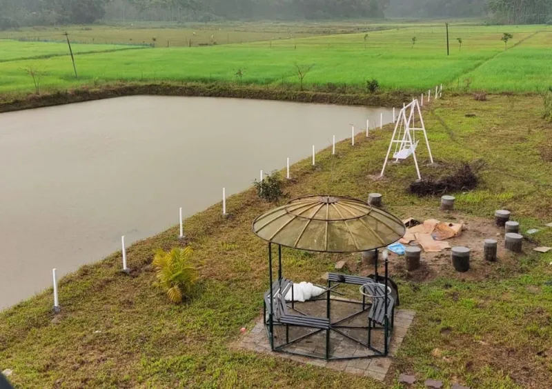 Gazebo and swing beside a pond with paddy fields beyond