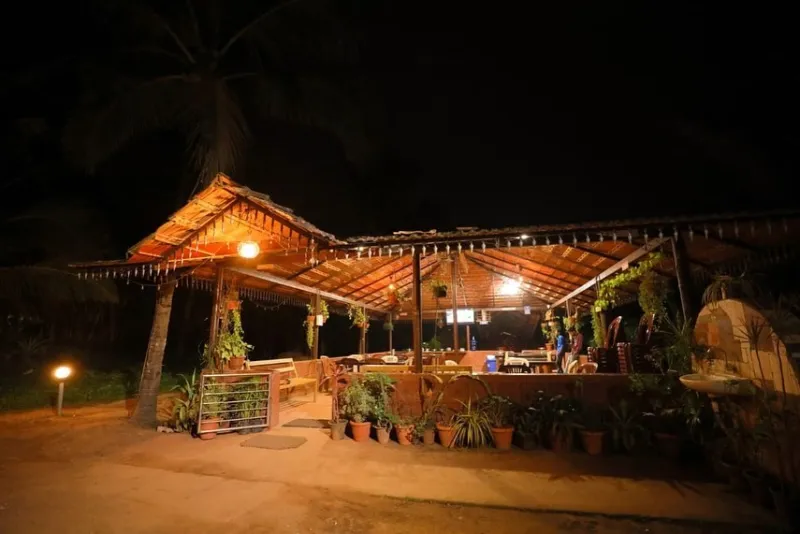 Open-air dining area with potted plants, lit up at night
