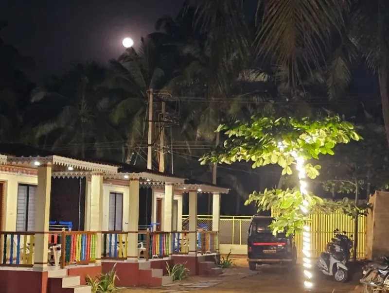 Row of cottages with colourful verandah railings under palm trees on a moonlit night