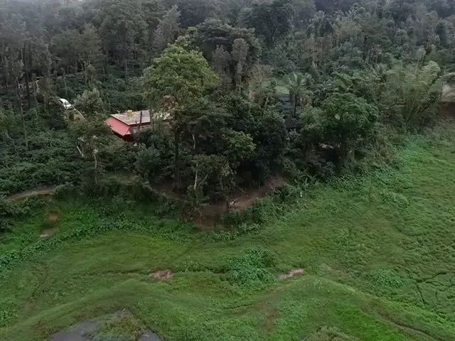 Aerial view of the property at the forest edge beside open grassland